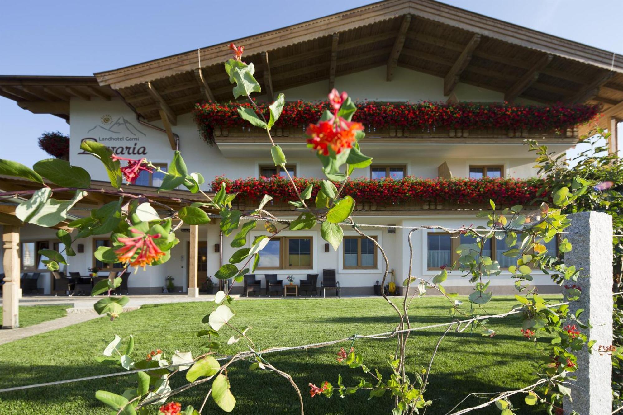 Hotel Garni Bavaria Ellmau Exteriör bild